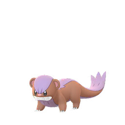 Yungoos Pokémon GO shiny sprite