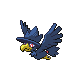murkrow-f.png