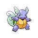 [Image: wartortle.png]