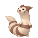 Furret sprite from Home