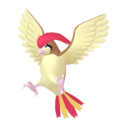 Pidgeotto sprite from Home