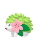 Shaymin sprite from Home