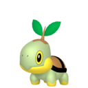 Turtwig sprite from Home