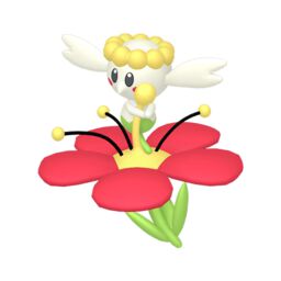 Floette evolution guide