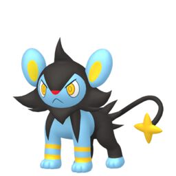 shinx evolution chart