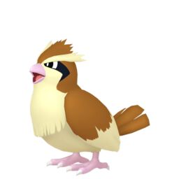 Pidgey Pokédex: stats, moves, locations | Pokémon Database