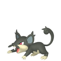 Pokemon 16020 Alolan Raticate Pokedex: Evolution, Moves, Location, Stats