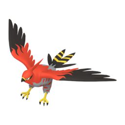 Talonflame normal sprite