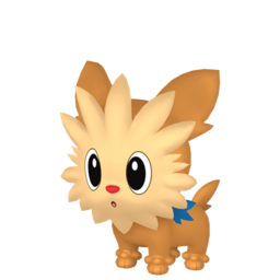 lillipup.png