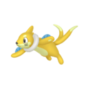 Buizel Shiny sprite from Home