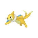 Buizel Shiny sprite from Home