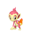 Chimchar Shiny sprite from Home