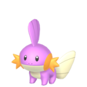 Mudkip Shiny sprite from Home