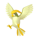 Pidgeotto Shiny sprite from Home