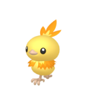 Torchic Shiny sprite from Home