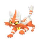 Torracat Shiny sprite from Home