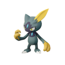 Sneasel Shiny sprite from Legends: Arceus