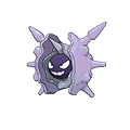 cloyster
