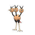 dodrio