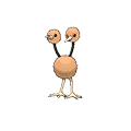 doduo