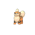 growlithe