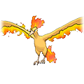 Moltres icon