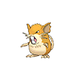raticate
