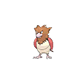 spearow