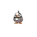 Starly sprite from Omega Ruby & Alpha Sapphire