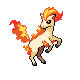 ponyta.png