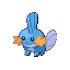 [Image: mudkip.png]