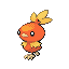 torchic