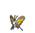 beautifly.avif