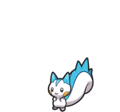 pachirisu.avif