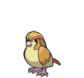 pidgeot.avif