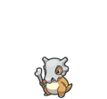 Cubone