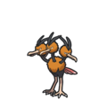 Dodrio