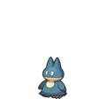 Munchlax