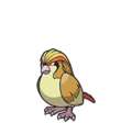 Pidgeot