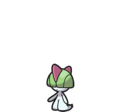 Ralts