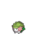 Shaymin