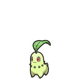 Chikorita