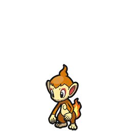 Chimchar