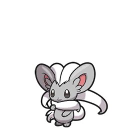 Cinccino