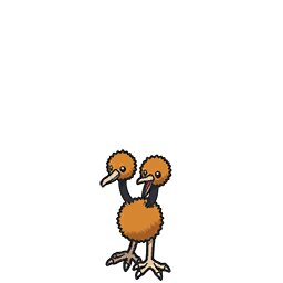 Doduo
