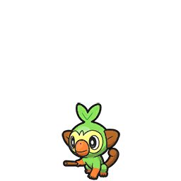 Grookey