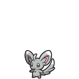 Minccino