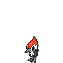 Pikipek