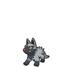 Poochyena