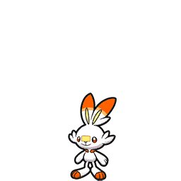 Scorbunny
